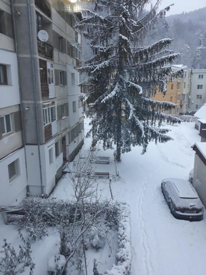 Apartament Aurora Сленік-Молдова Екстер'єр фото