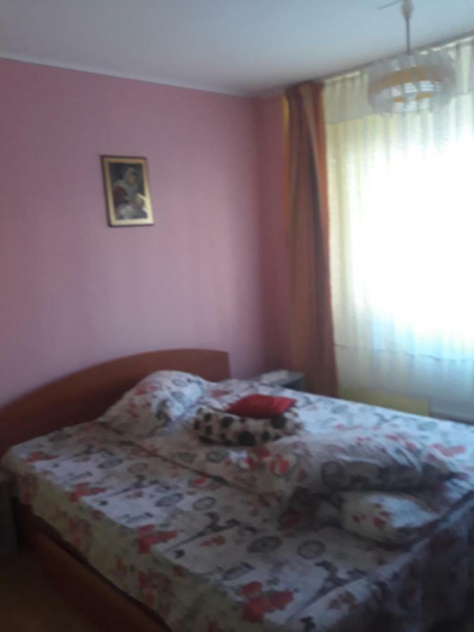 Apartament Aurora Сленік-Молдова Екстер'єр фото